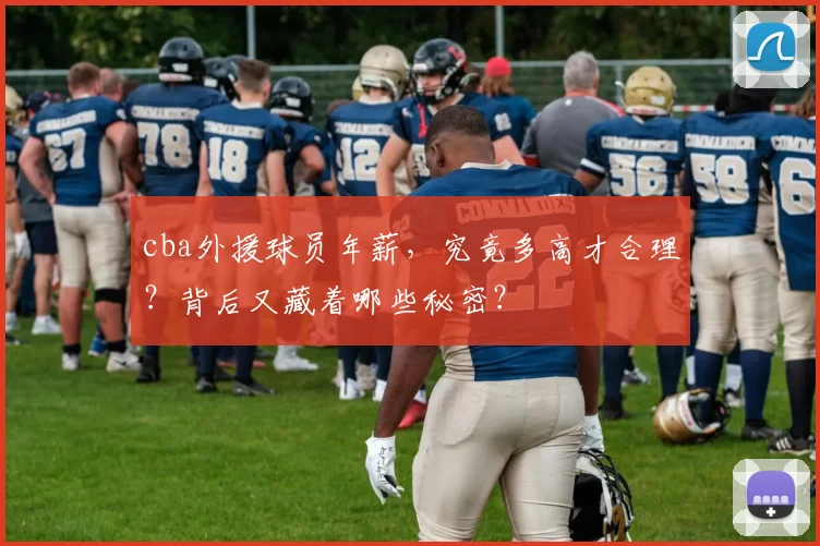 cba外援球员年薪,究竟多高才合理?背后又藏着哪些秘密?