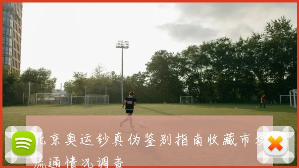 北京奥运钞真伪鉴别指南收藏市场流通情况调查